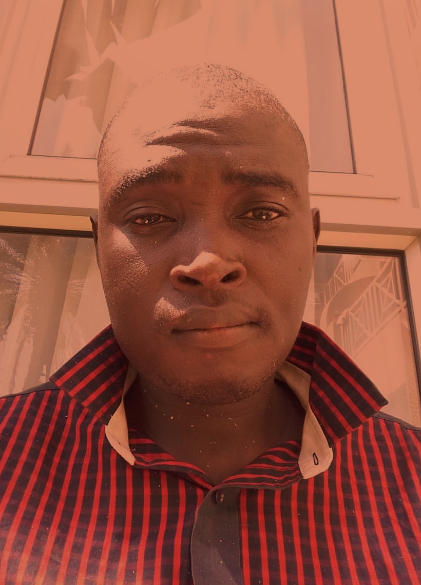 affordable tree felling brighton