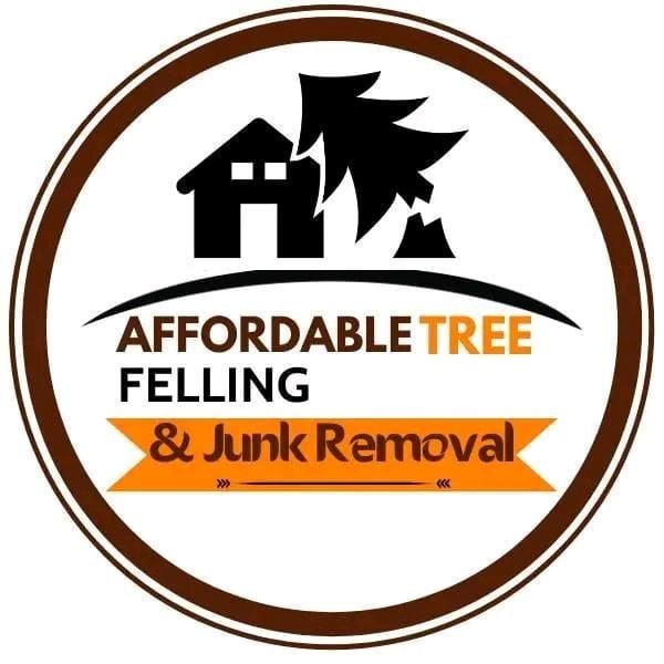 denis treelogo no background